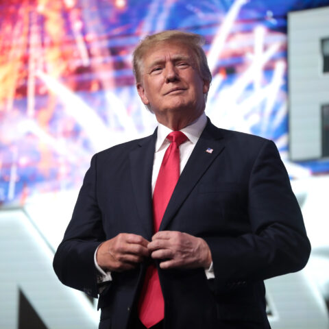 Donald Trump Fireworks Victory