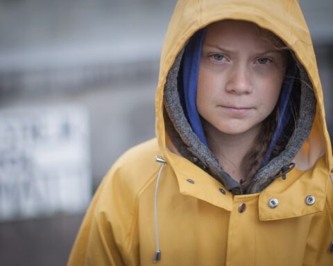 Greta Thunberg stages a school strike for the climate