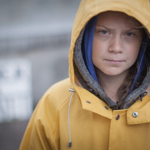 Greta Thunberg stages a school strike for the climate